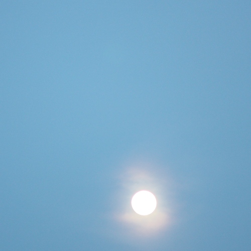 IMG_8749 - バージョン 3.JPGのサムネール画像